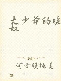 大少爷的暖床小奴