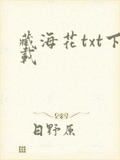 藏海花txt下载