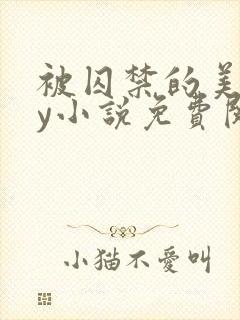 被囚禁的美人by小说免费阅读