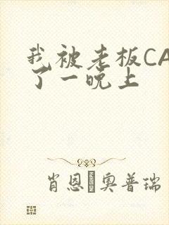 我被老板CAO了一晚上