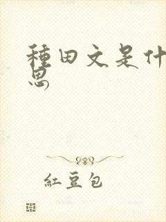 种田文是什么意思