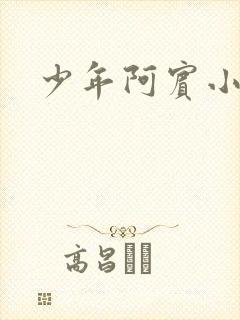 少年阿宾小说