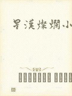 星汉灿烂小说