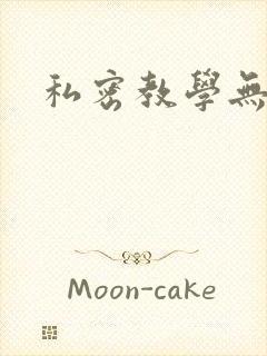 私密教学无删减