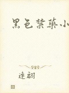 黑色禁药小说