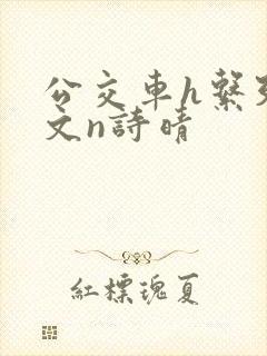 公交车h系列辣文n诗晴