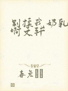 别揉我奶乳嗯～啊文轩