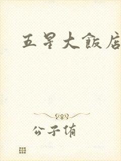 五星大饭店小说