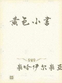 黄色小书