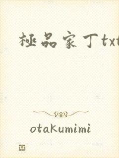 极品家丁txt