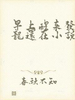 早上醒来发现巨龙还在小说