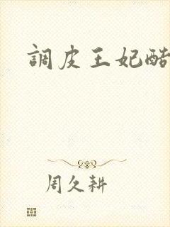 调皮王妃酷王爷