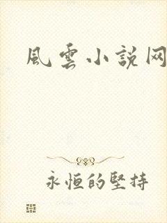 风云小说网