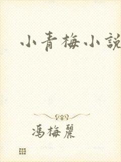 小青梅小说