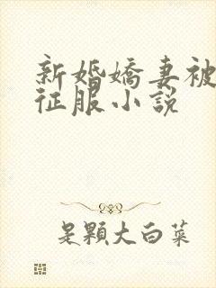 新婚娇妻被巨茎征服小说