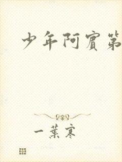 少年阿宾第二部