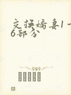 交换娇妻1一36部分