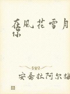在风花雪月里等你