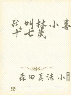 我叫林小喜今年十七岁