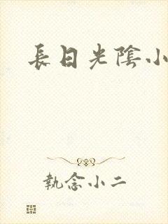 长日光阴小说