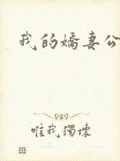 我的娇妻公务员