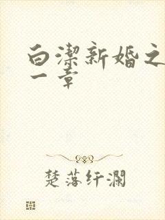 白洁新婚之夜第一章