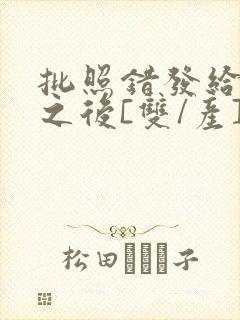 批照错发给情敌之后[双/产]