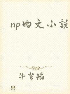 np肉文小说