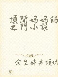 顶开妈妈的生命之门小说