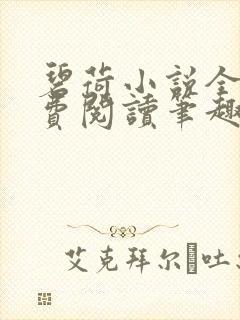 碧荷小说全文免费阅读笔趣阁