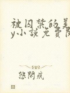 被囚禁的美人by小说免费阅读