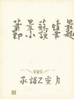 萧晨苏晴最新章节小说笔趣阁