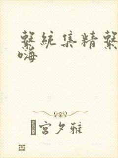 系统集精系统高嗨