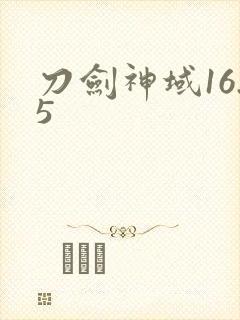 刀剑神域16.5