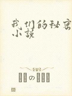 我们的秘密泰剧小说