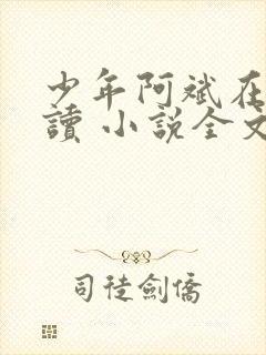 少年阿斌在线阅读 小说全文免费