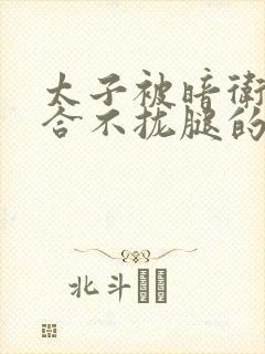 太子被暗卫c到合不拢腿的后果