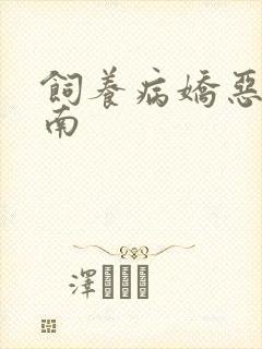 饲养病娇恶龙指南