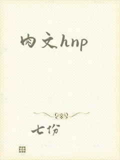 肉文hnp