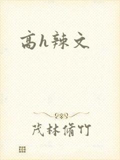 高h辣文