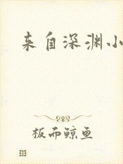 来自深渊小说