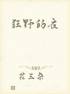 狂野的夜