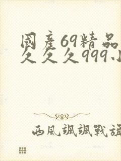 国产69精品久久久久999小说