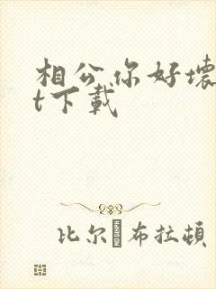 相公你好坏txt下载