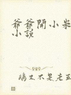 爷爷开小米的包小说