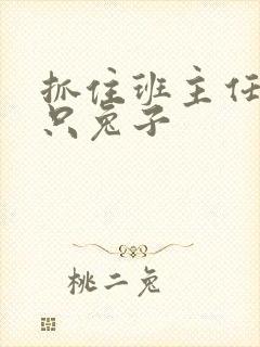 抓住班主任的两只兔子