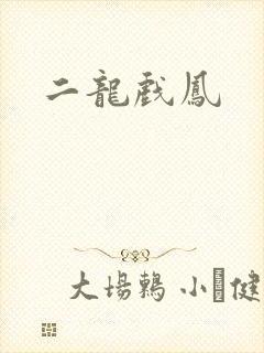 二龙戏凤