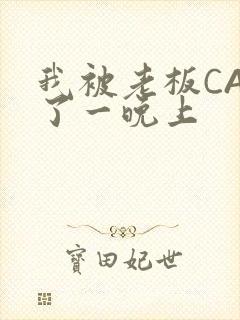 我被老板CAO了一晚上