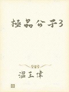 极品公子3