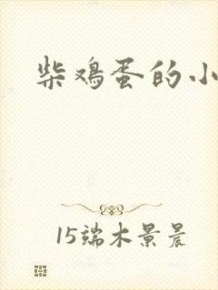 柴鸡蛋的小说